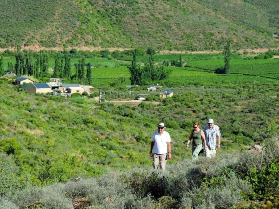 Mymering Wine & Guest Estate Ladismith Eksteriør billede