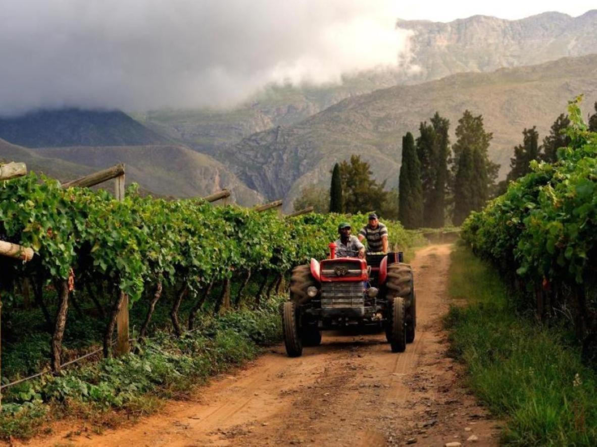 Mymering Wine & Guest Estate Ladismith Eksteriør billede