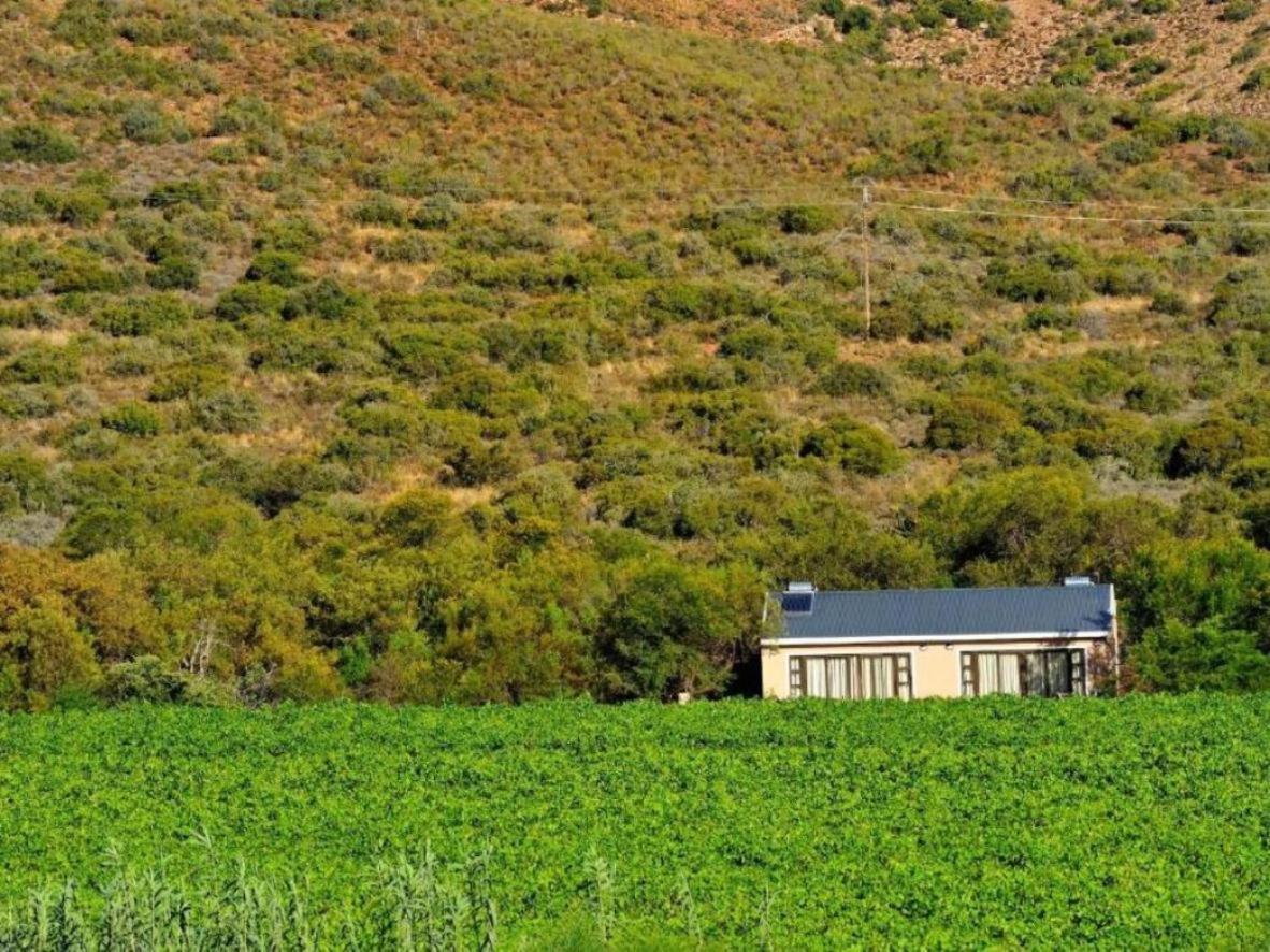 Mymering Wine & Guest Estate Ladismith Eksteriør billede