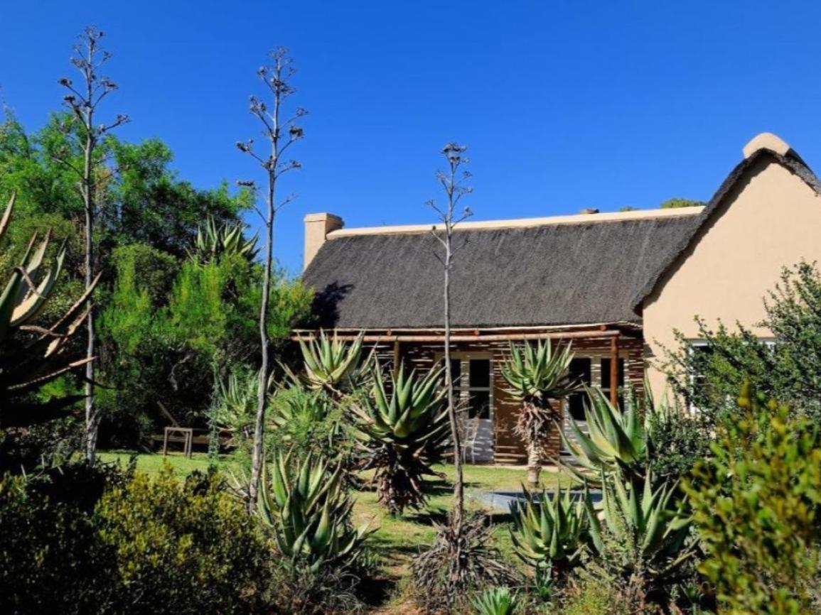 Mymering Wine & Guest Estate Ladismith Værelse billede