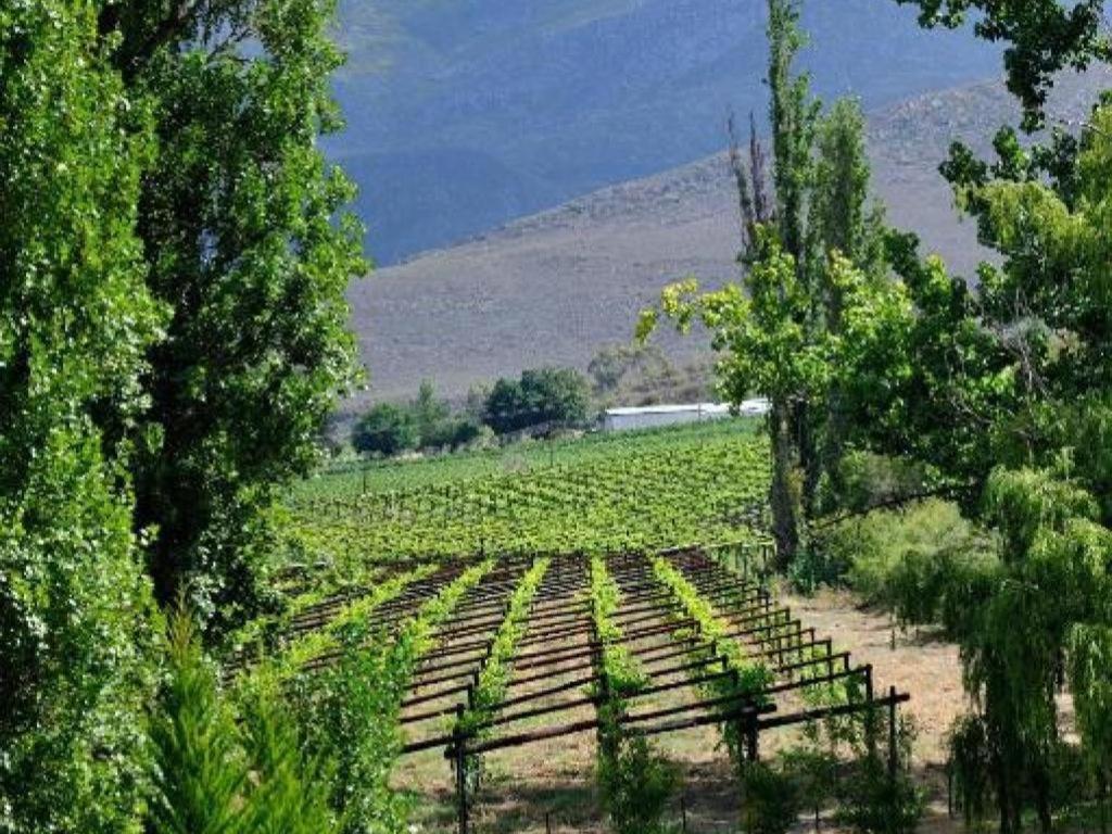 Mymering Wine & Guest Estate Ladismith Eksteriør billede
